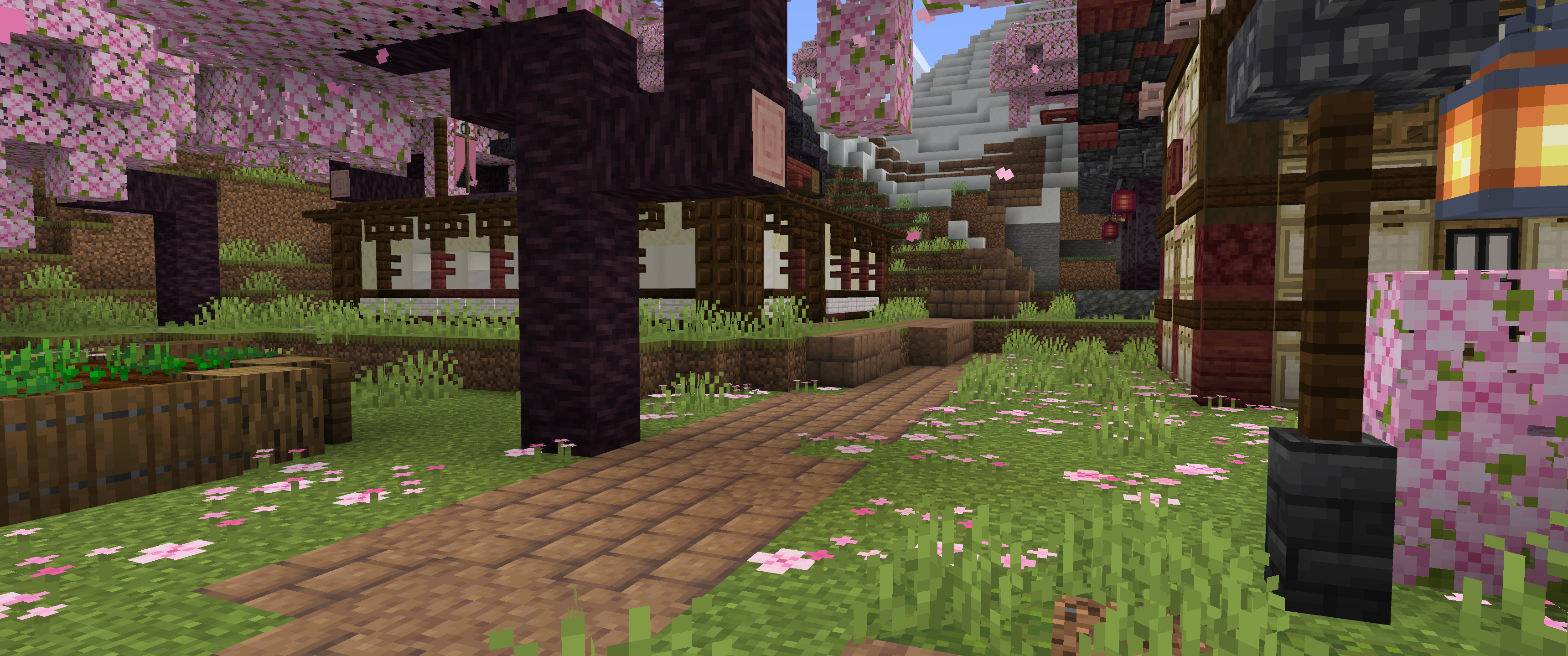 Village Street View