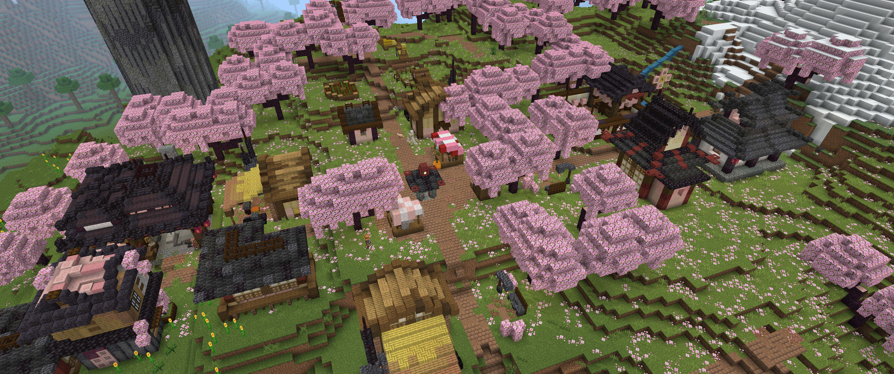 Village Layout