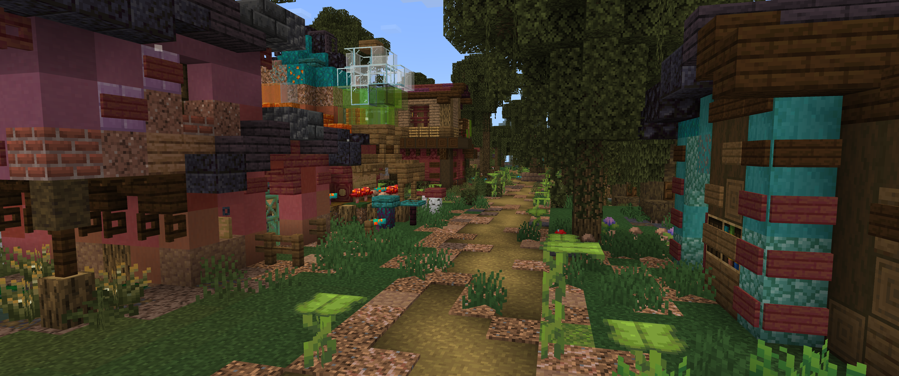 Village Street View